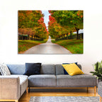 Tree-lined Farm Lane, Kentucky Wall Art