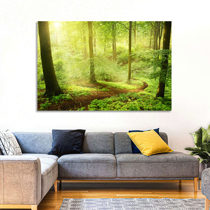 Sunlit Forest Path Wall Art