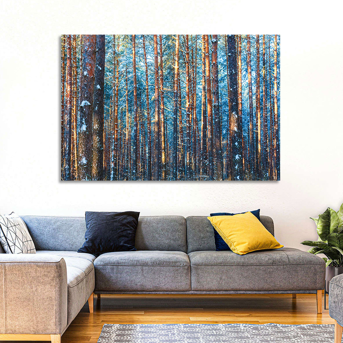 Golden Hour Winter Pine Forest Wall Art