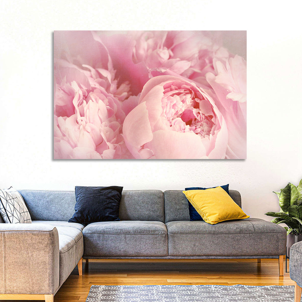 Soft Pink Peony Close Up Wall Art