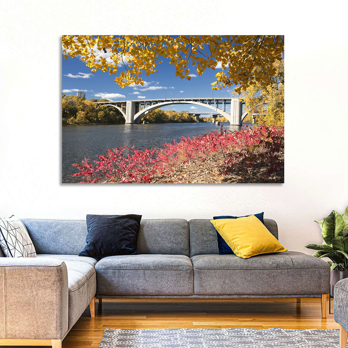 Ford Parkway Bridge Mississippi River Wall Art