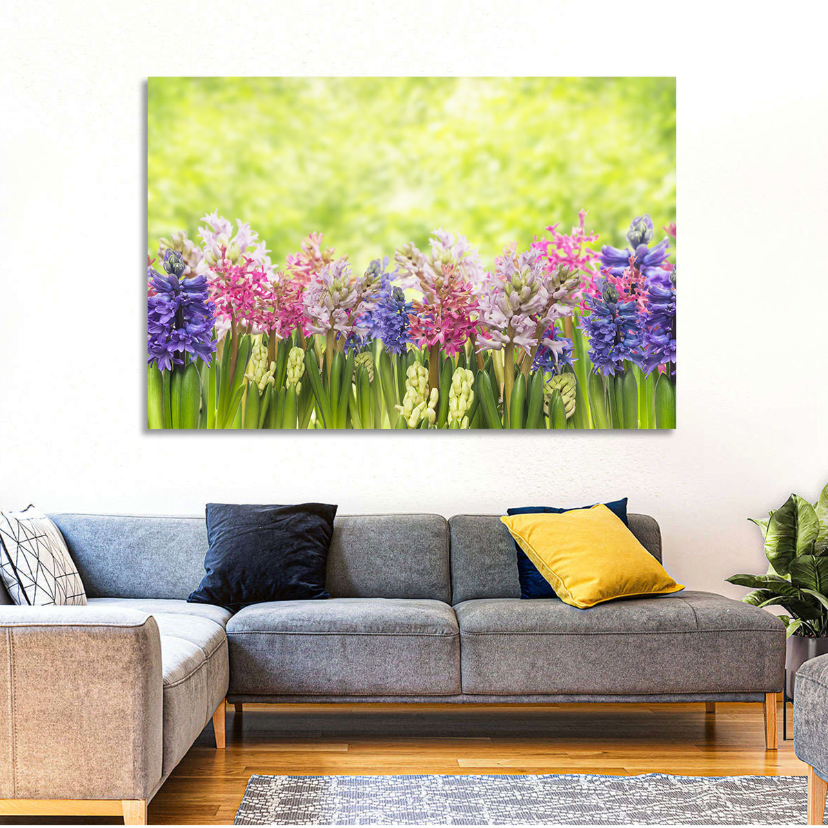 Hyacinth Cluster in Bloom Wall Art