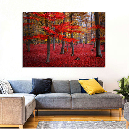 Crimson Autumn Forest Wall Art