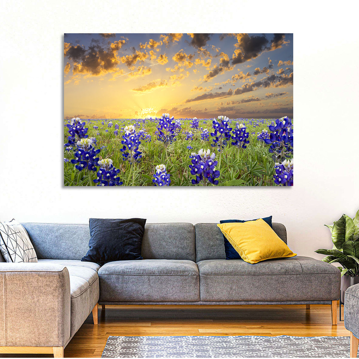 Bluebonnet Field at Sunset Wall Art in a room, landscape