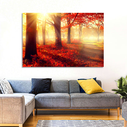 Sunlit Forest Path Wall Art