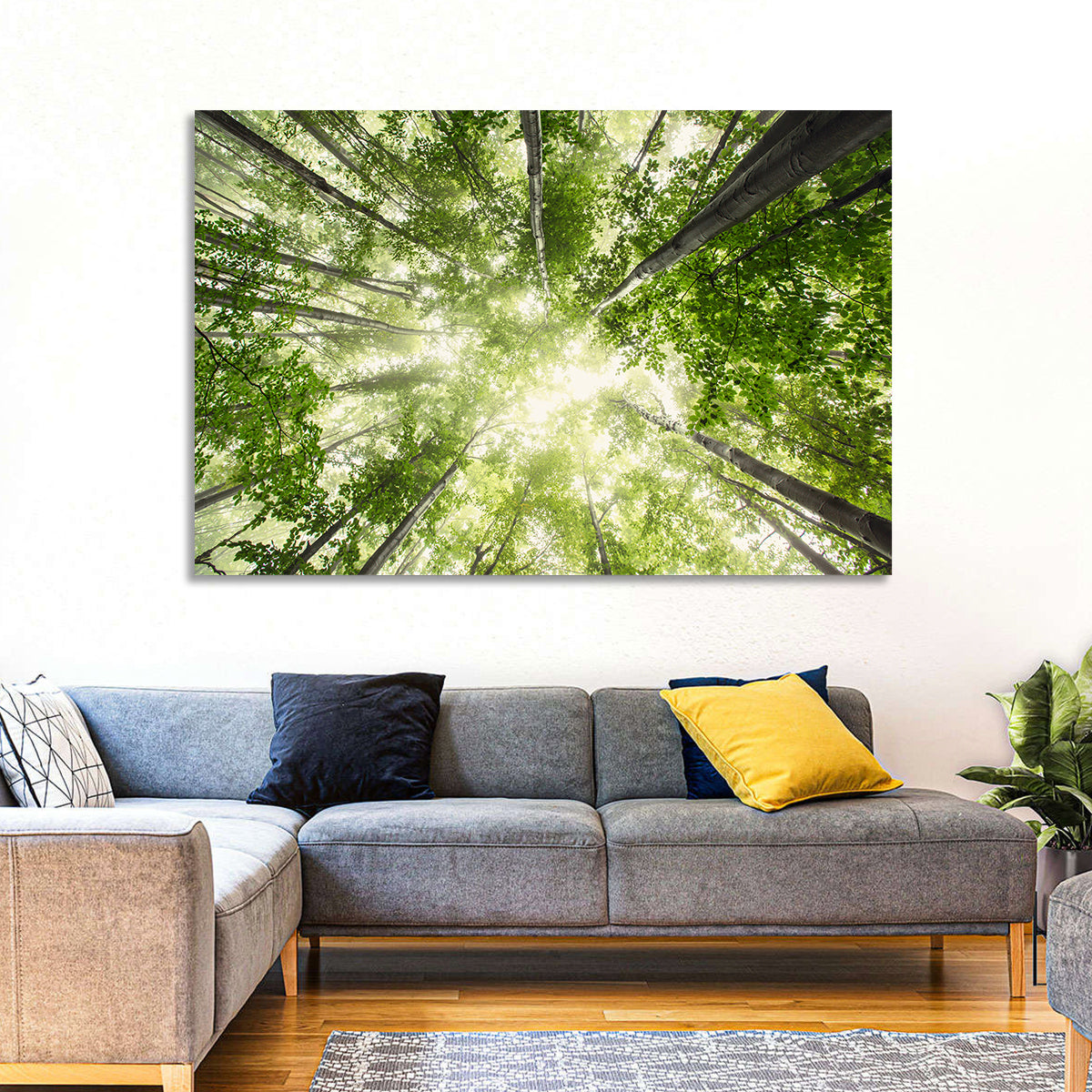 Misty Spring Forest Wall Art