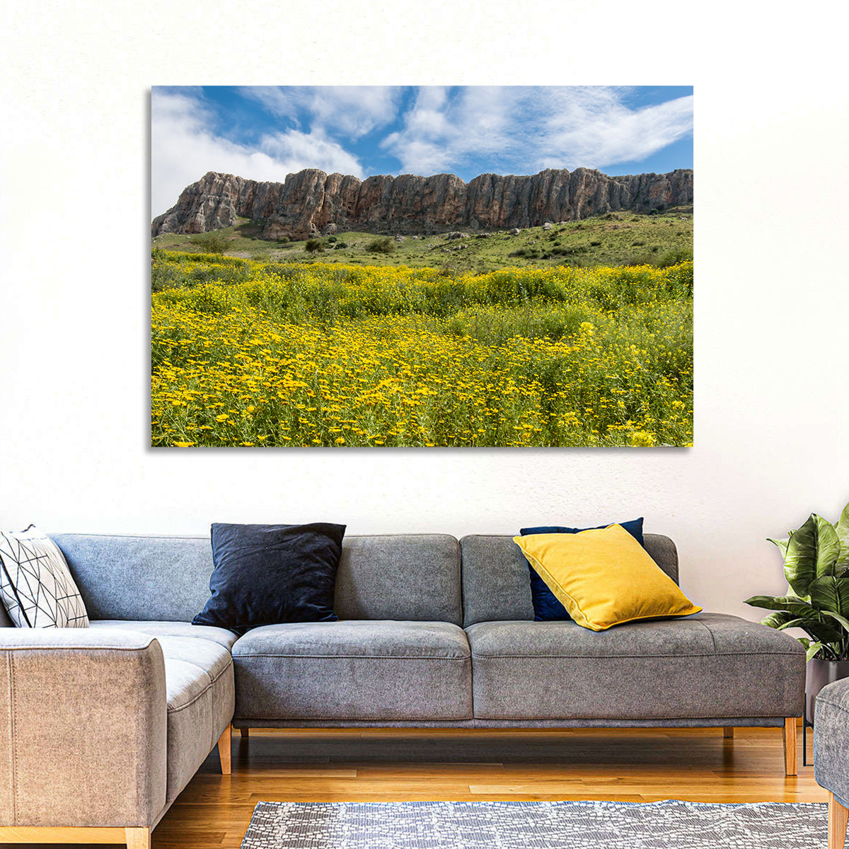 Mount Arbel Wildflower Meadow Wall Art in a room, landscape