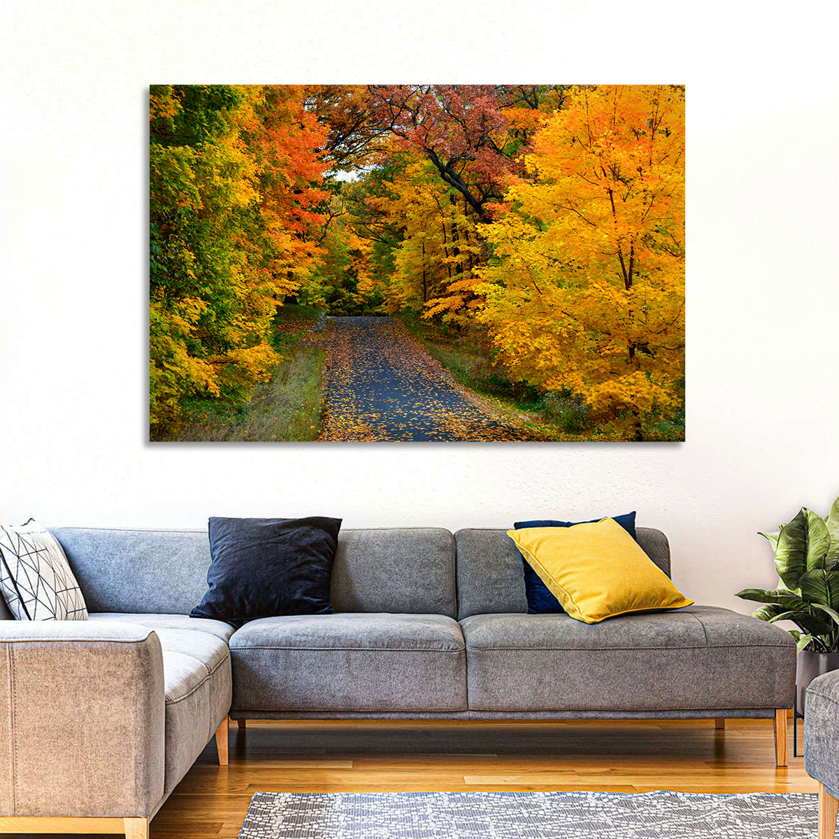 Autumn Road Through Wisconsin Park Wall Art
