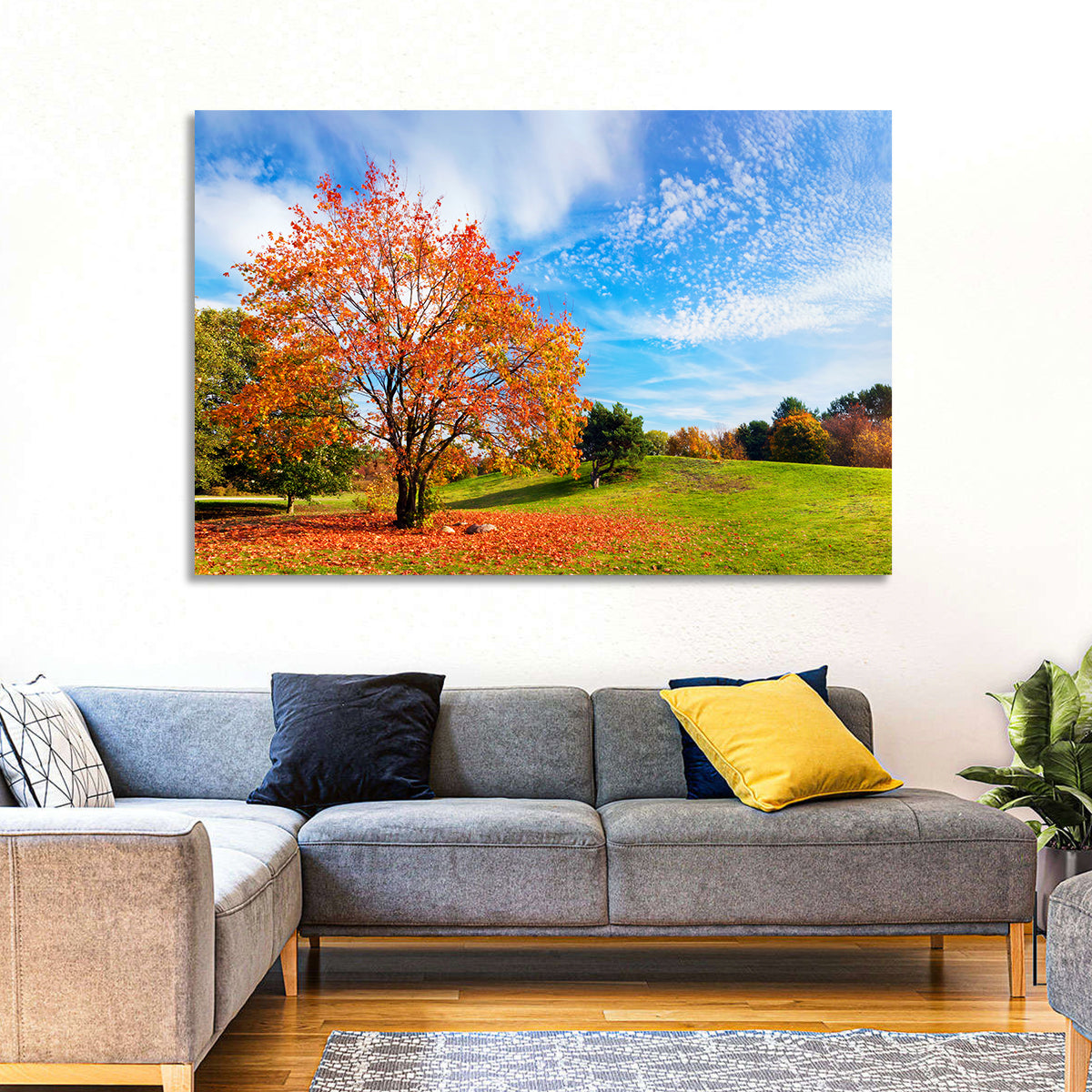 Orange Maple on Rolling Hill Wall Art