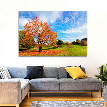 Orange Maple on Rolling Hill Wall Art