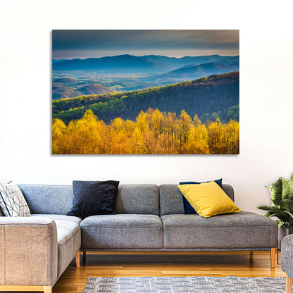 Shenandoah Golden Hour Ridge Wall Art