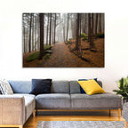Misty Appalachian Trail Path Wall Art