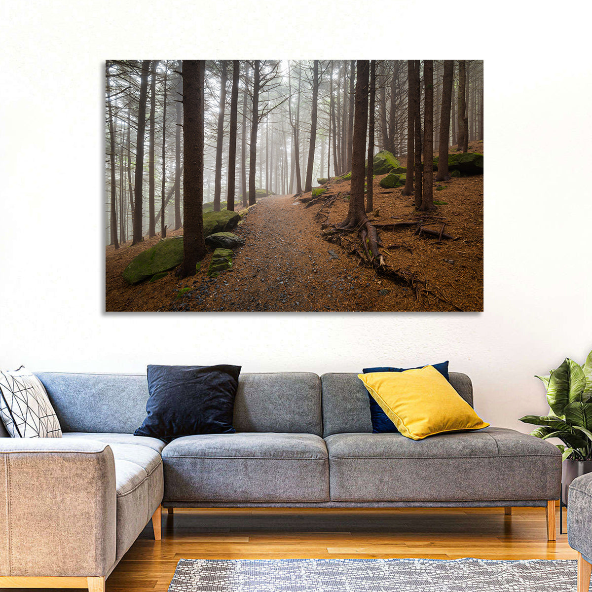 Misty Appalachian Trail Path Wall Art