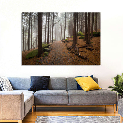 Misty Appalachian Trail Path Wall Art