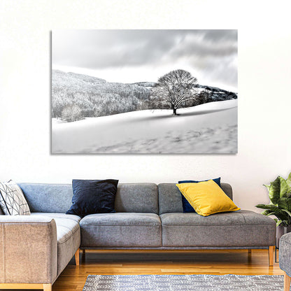 Solitary Snowy Tree Landscape Wall Art