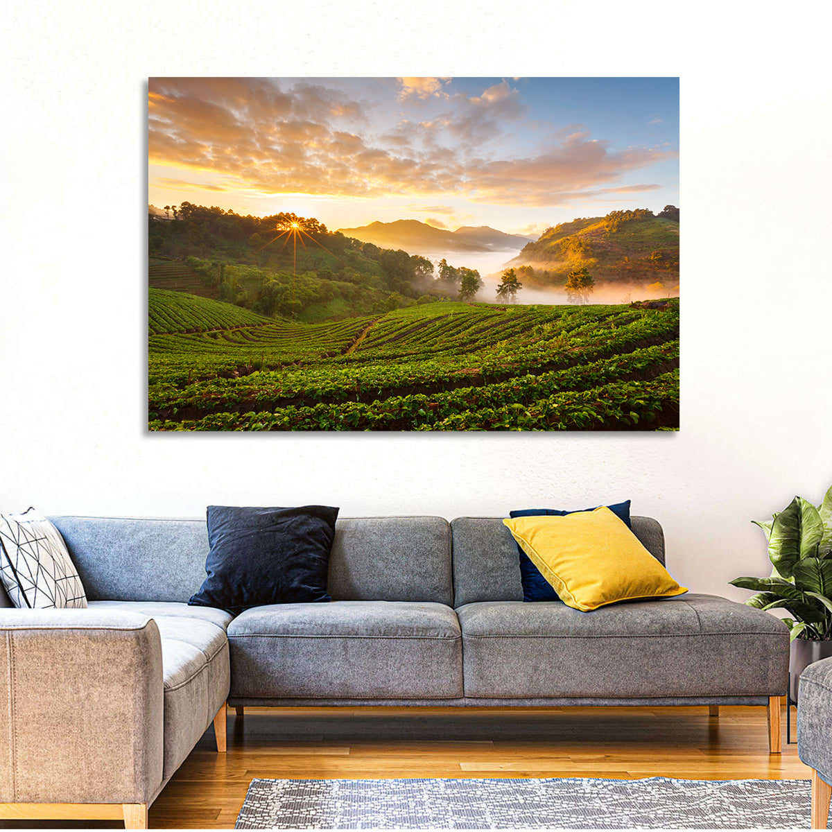 Strawberry Fields Sunrise Wall Art in a room, landscape