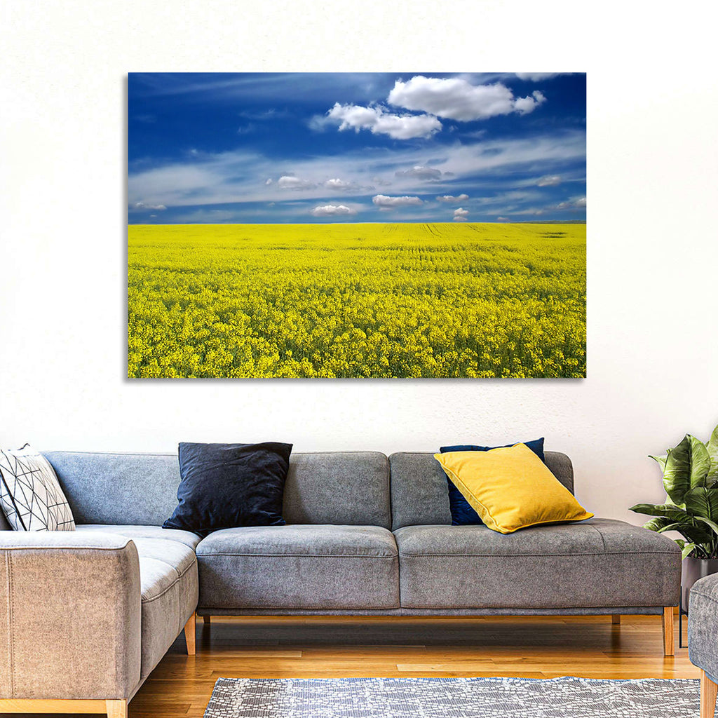 Sunlit Canola Field Wall Art
