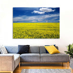 Sunlit Canola Field Wall Art