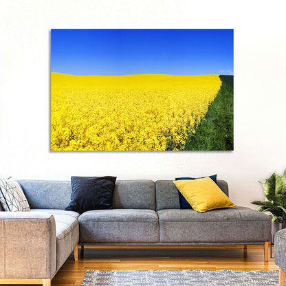Sunlit Rapeseed Field Wall Art