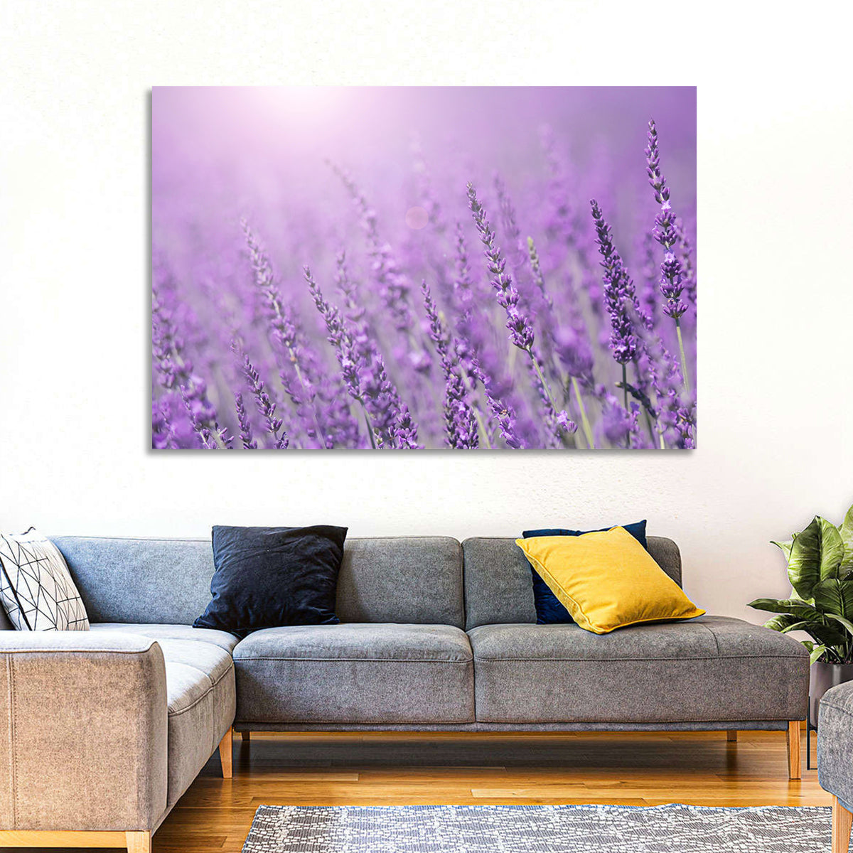 Sunlit Lavender Field Wall Art in a room, landscape
