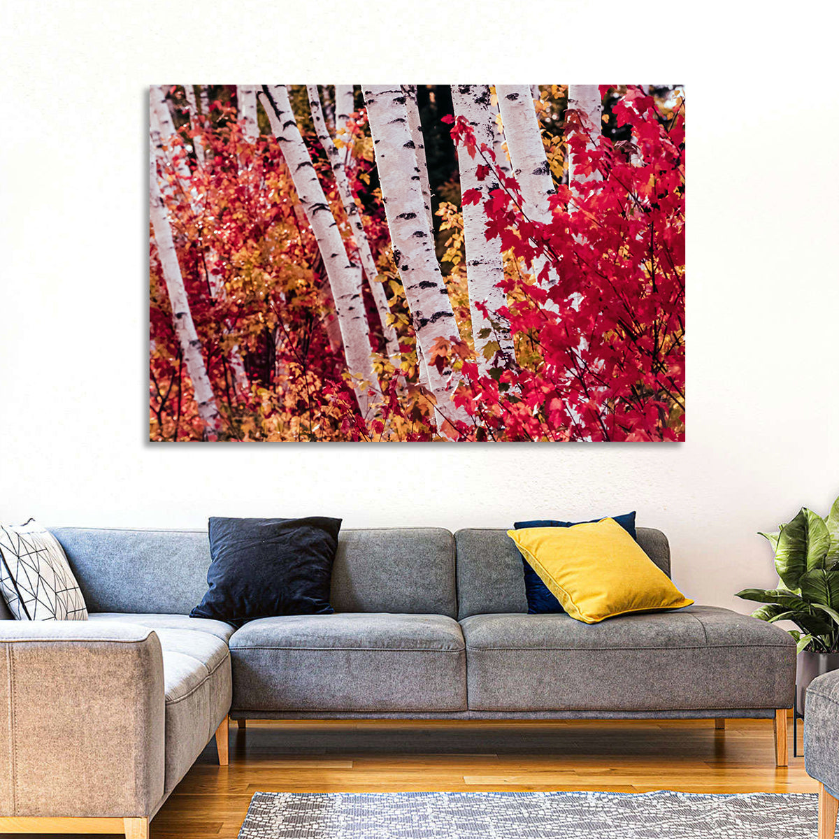 Autumn Birches with Crimson Maples Wall Art
