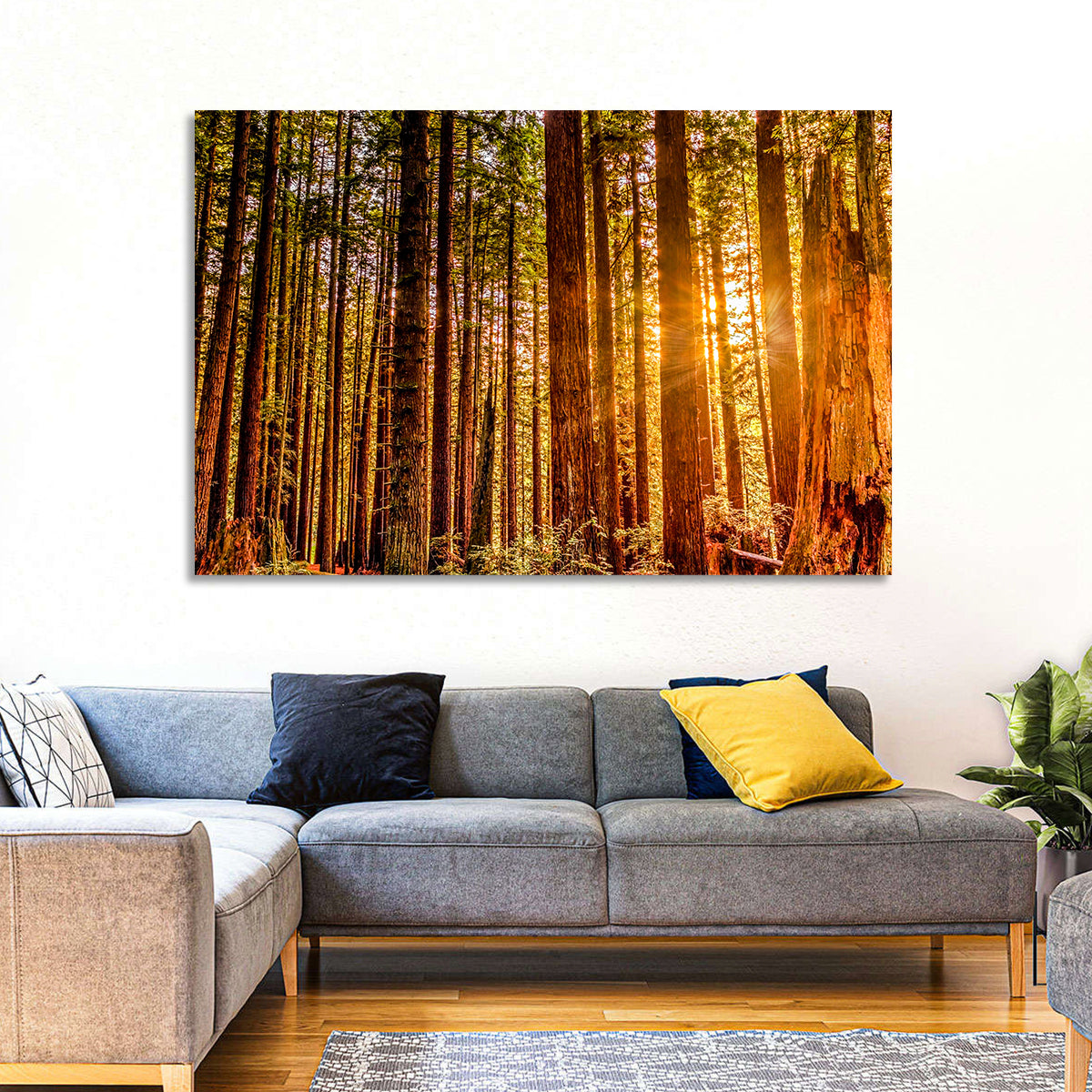 Golden Hour Redwood Sunburst Wall Art in a room, landscape