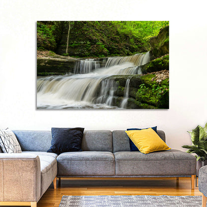 Matthiessen Forest Cascade Wall Art