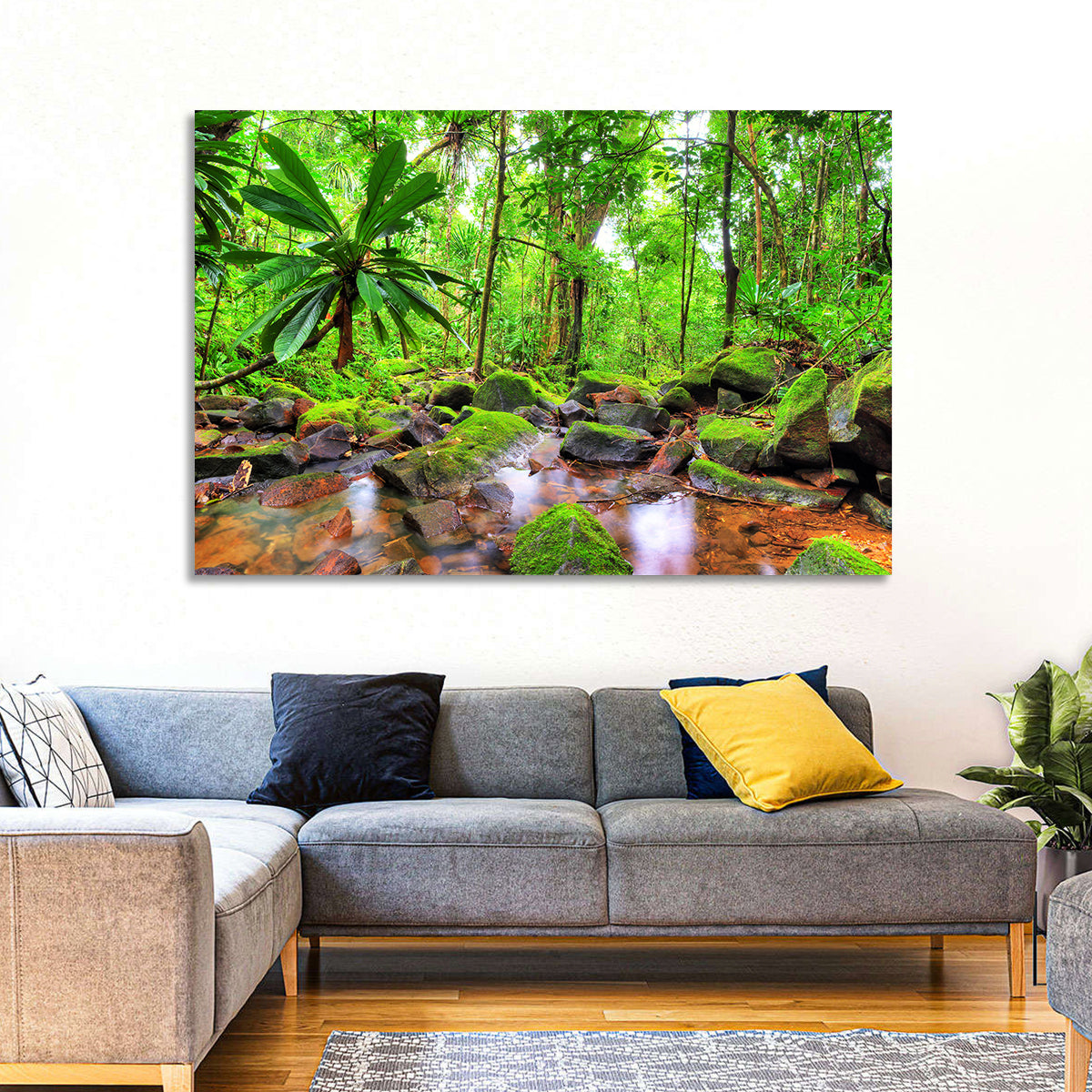 Mossy Rainforest Stream Wall Art in a room, landscape