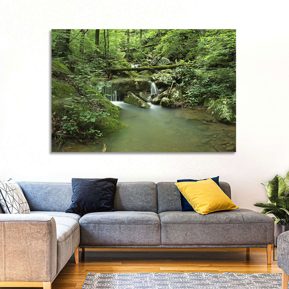 Arkansas Forest Stream Wall Art