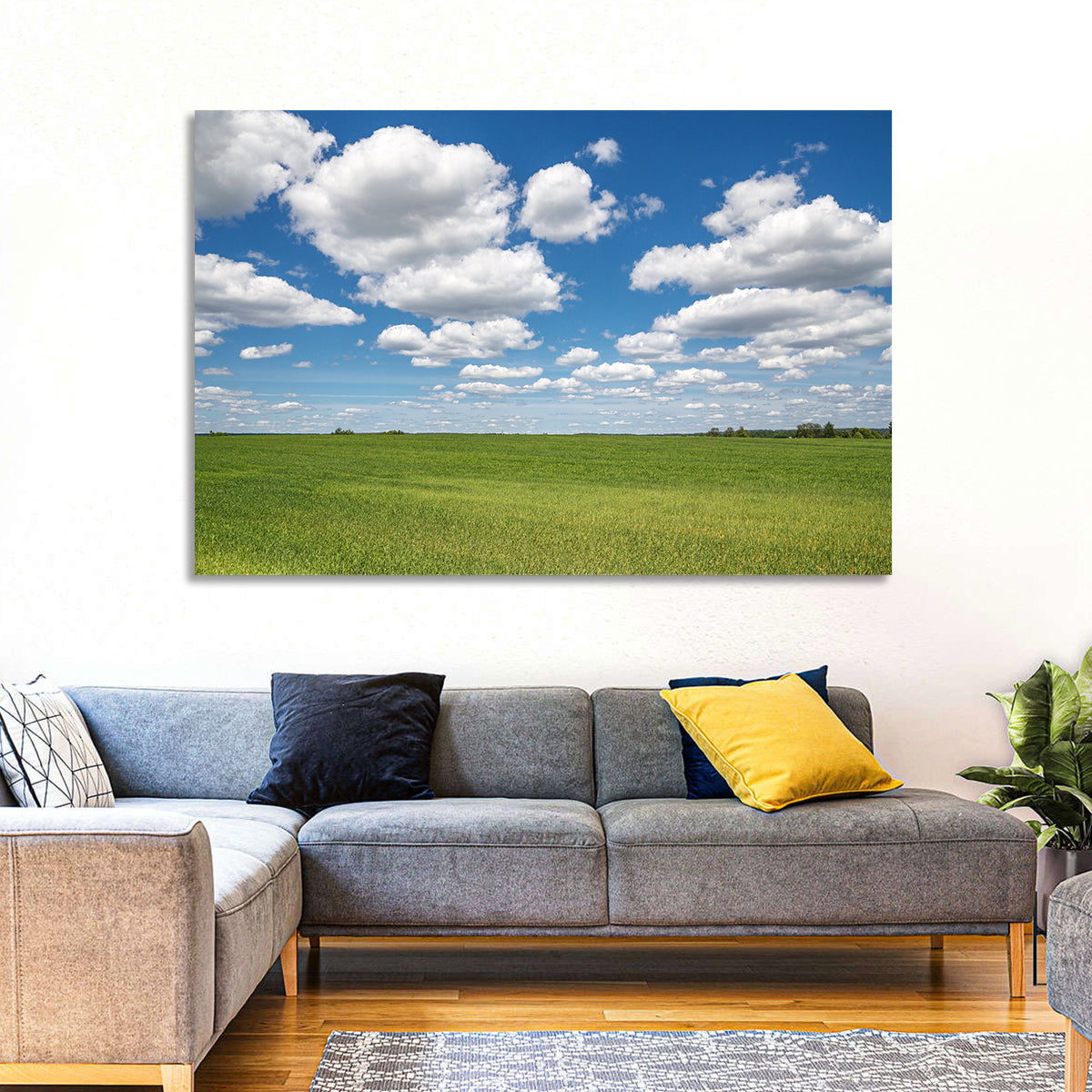 Cloud Filled Sky Over Meadow Wall Art in a room, landscape
