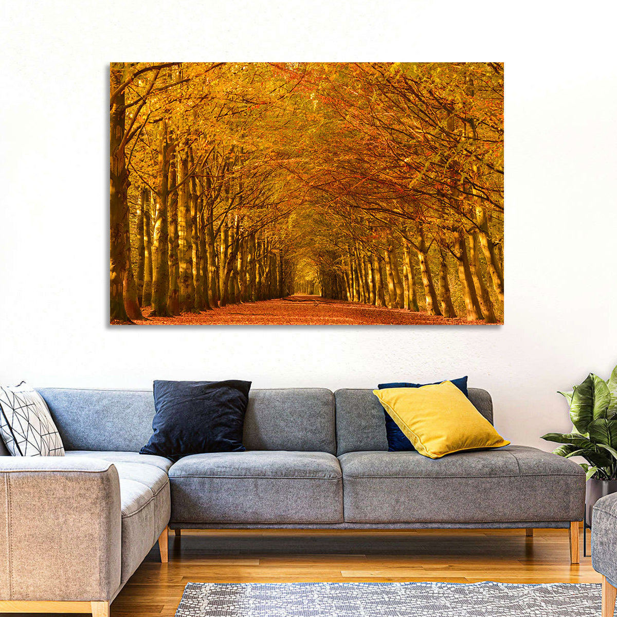 Golden Beech Tree Tunnel in Autumn Wall Art in a room, landscape