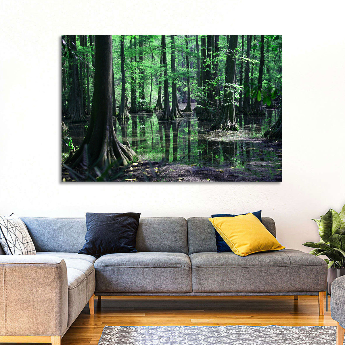 Congaree Swamp Reflection Wall Art