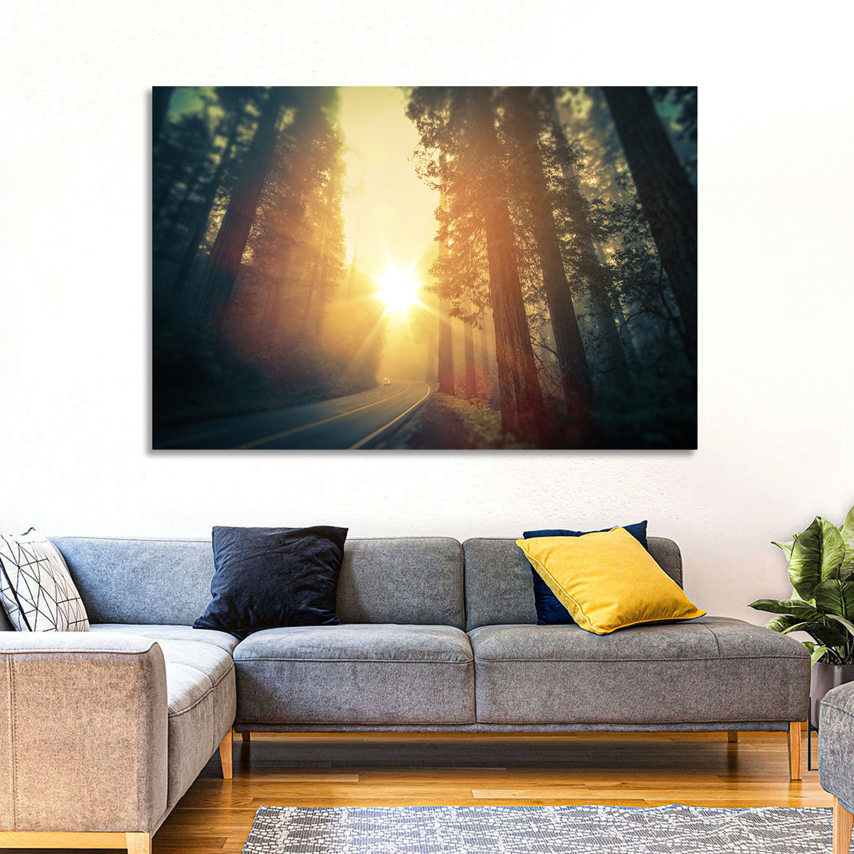 Misty Redwood Road with Golden Sunburst Wall Art