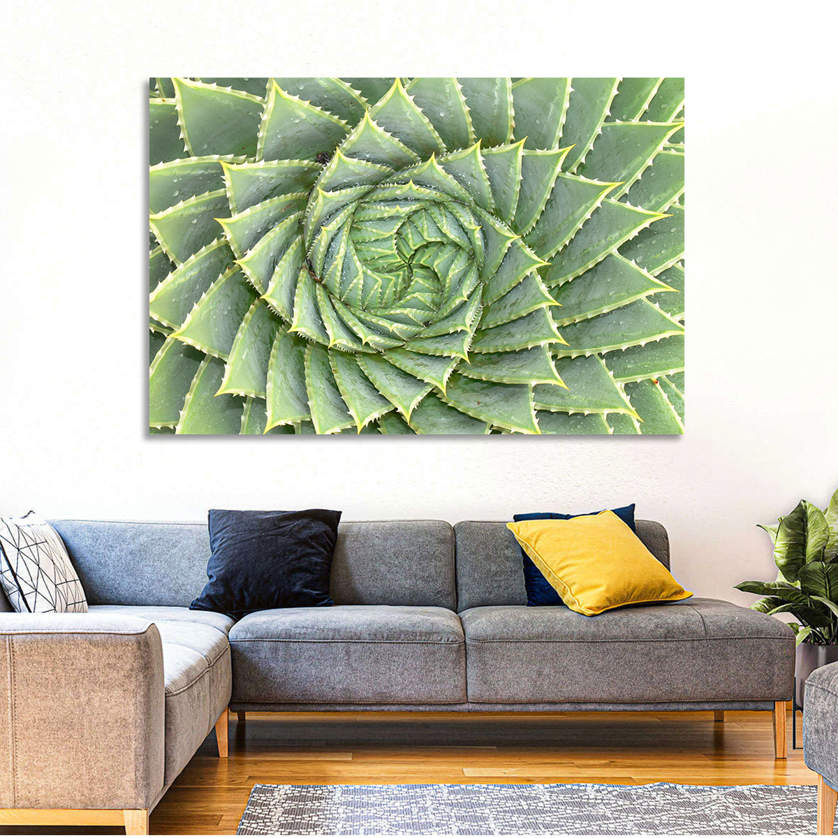 Spiral Aloe Close-up Wall Art
