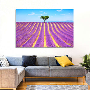 Lavender Field Wall Art