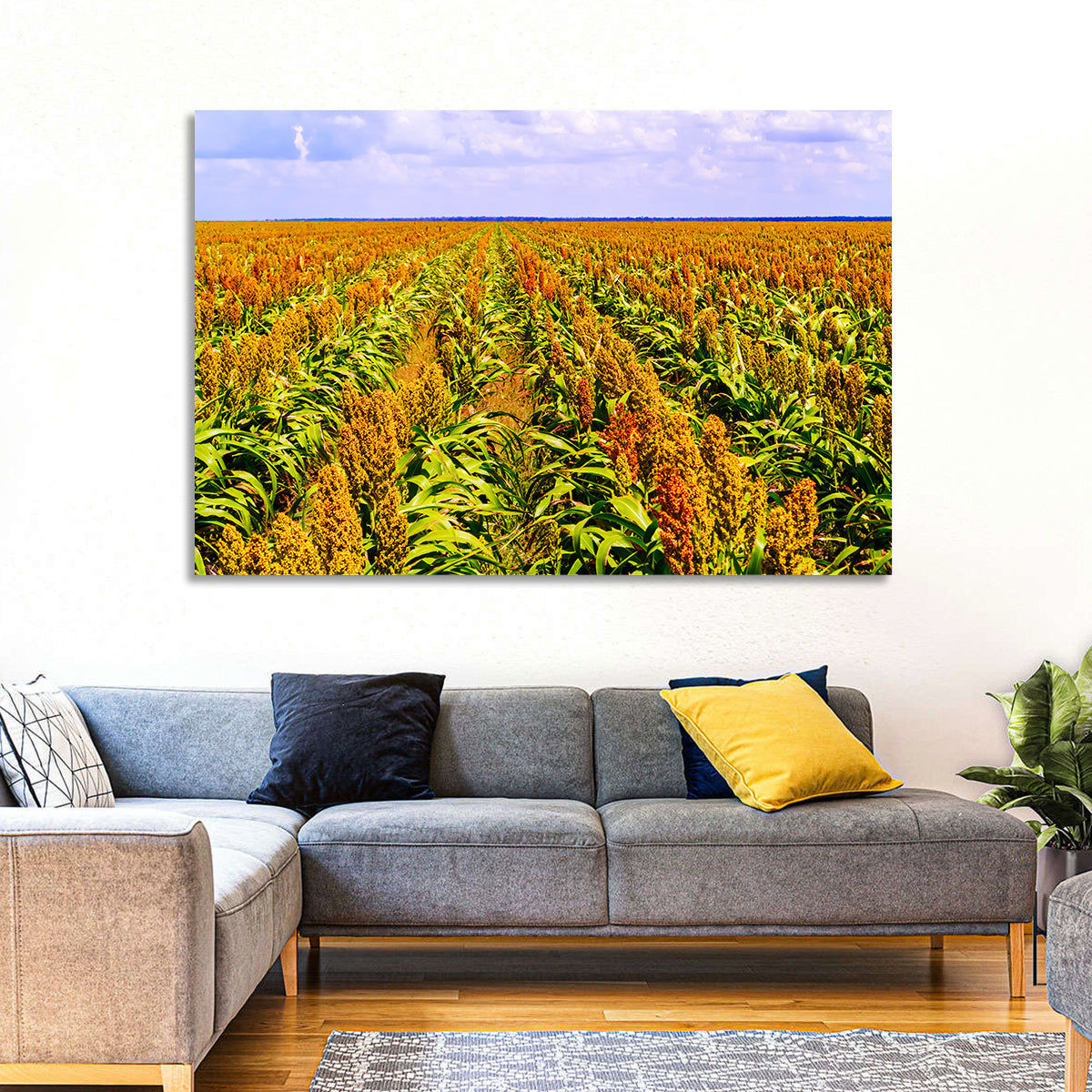 Sorghum Field Wall Art in a room, landscape