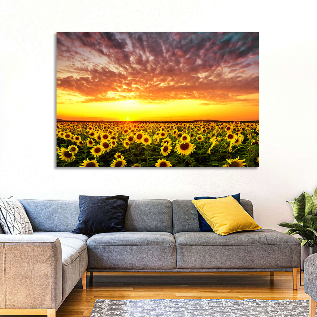 Golden Hour Sunflower Field Wall Art