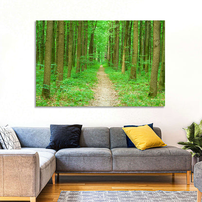 Green Forest Pathway Wall Art