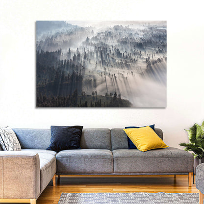 Misty Forest Sunrise Wall Art