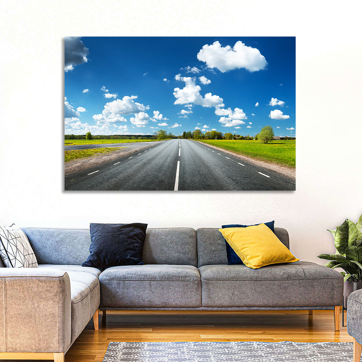 Asphalt Road Through Meadow Wall Art