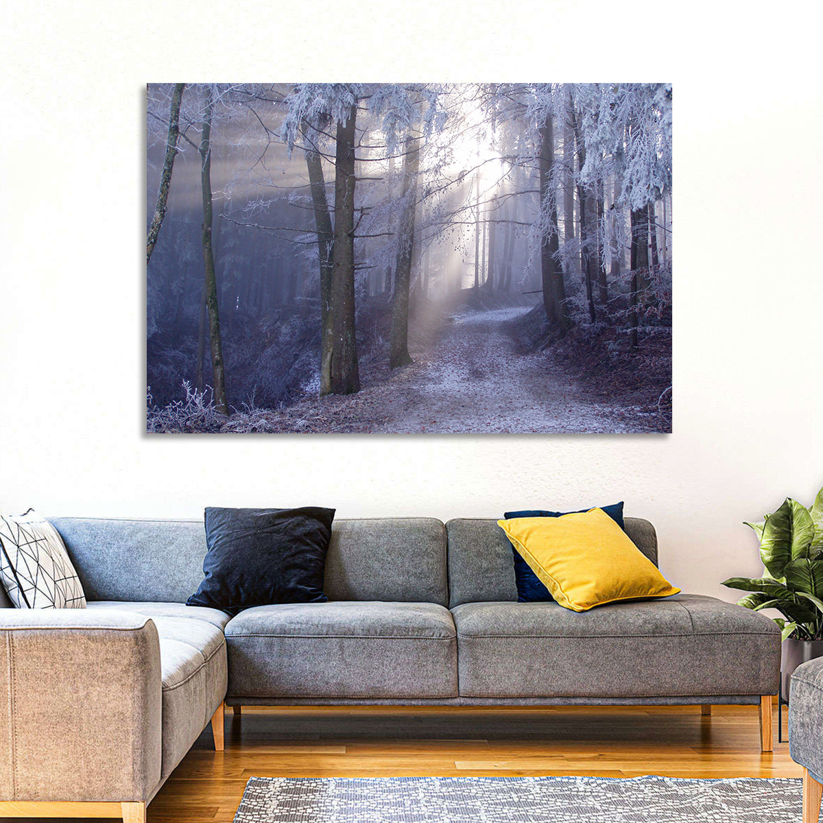 Frosted Forest Path at Dawn Wall Art