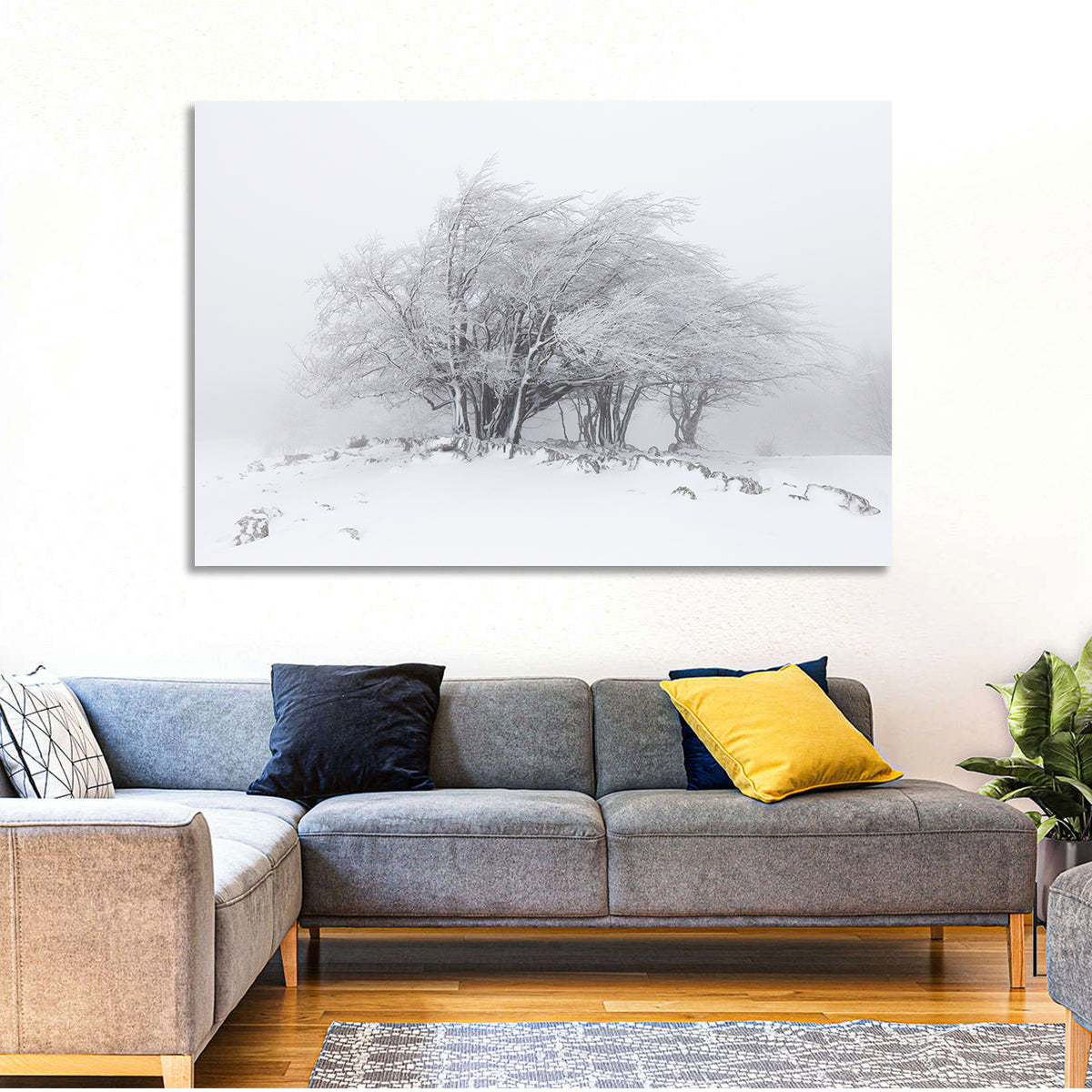 Rime Coated Winter Trees Wall Art in a room, landscape
