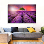 Sunset Over Lavender Fields Wall Art