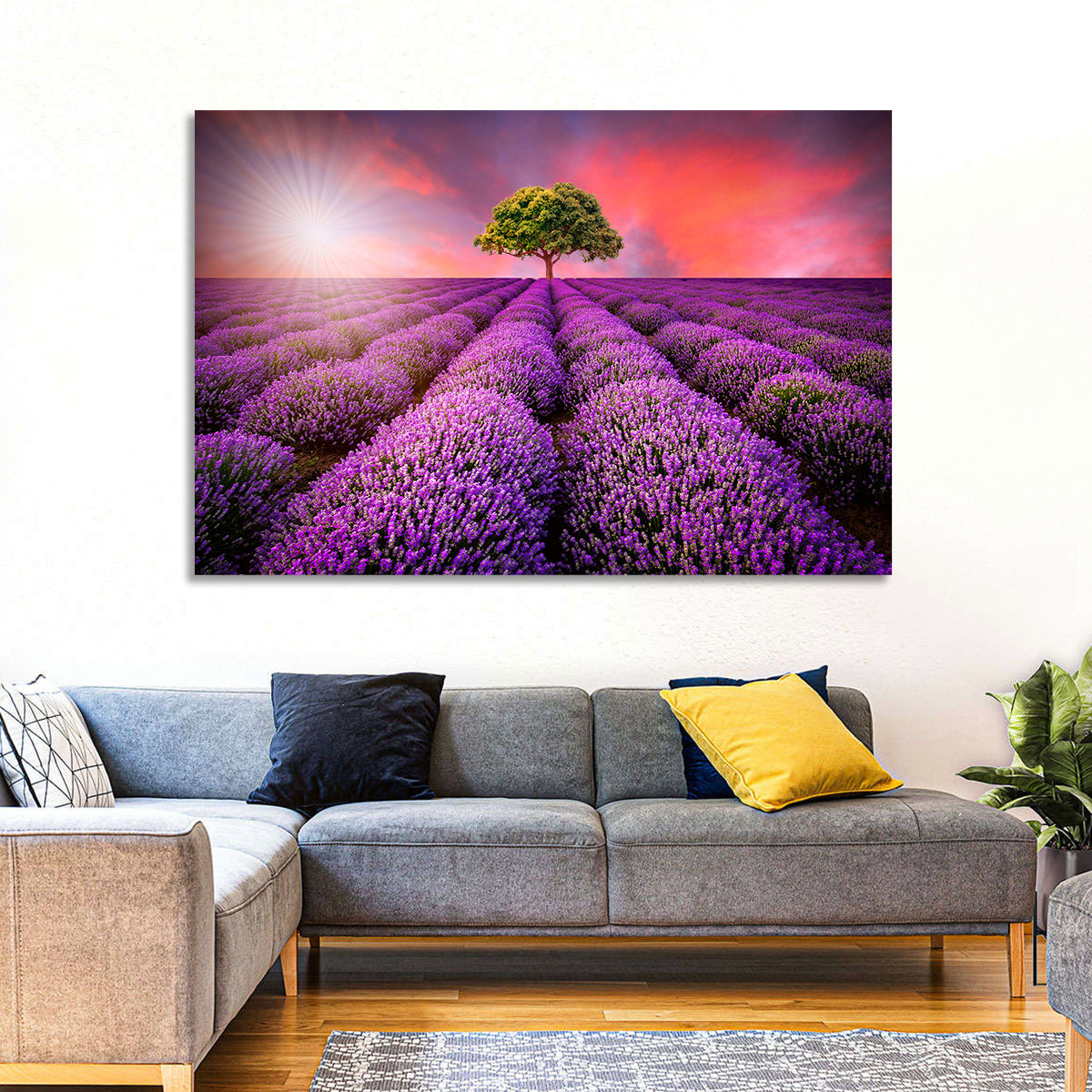 Sunset Over Lavender Fields Wall Art