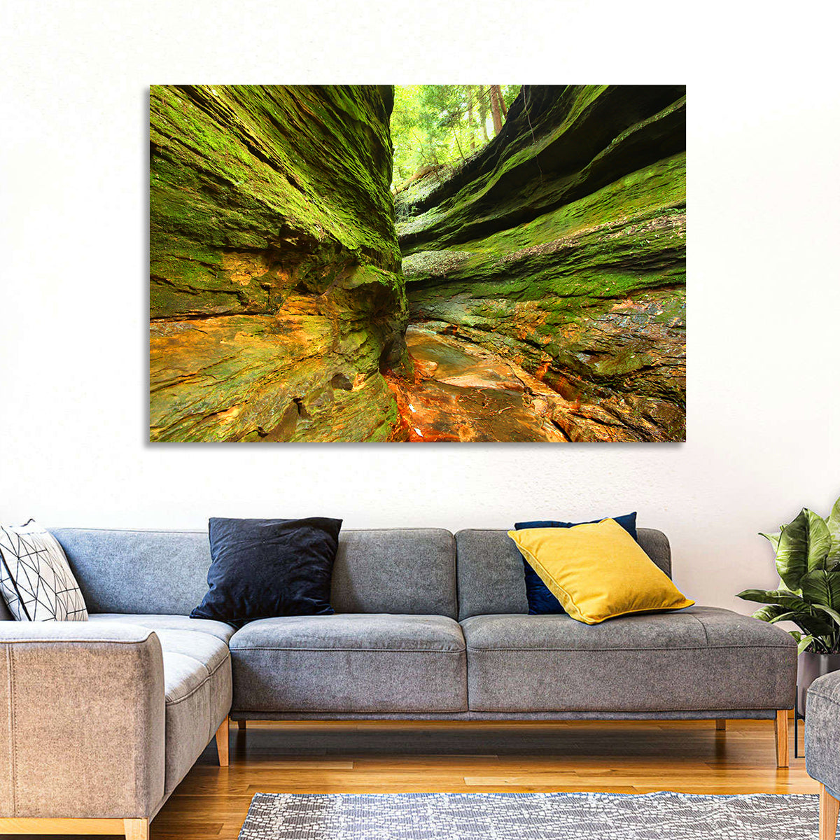Turkey Run State Park Canyon Wall Art