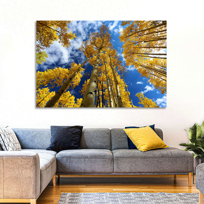 Aspen Trees Wall Art