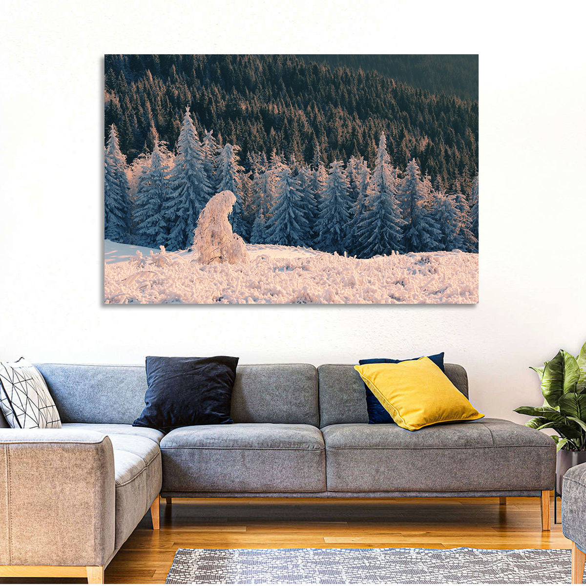 Carpathian Forest at Golden Hour Wall Art in a room, landscape