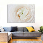 Peach Ranunculus Macro Bloom Wall Art