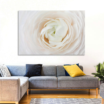 Peach Ranunculus Macro Bloom Wall Art
