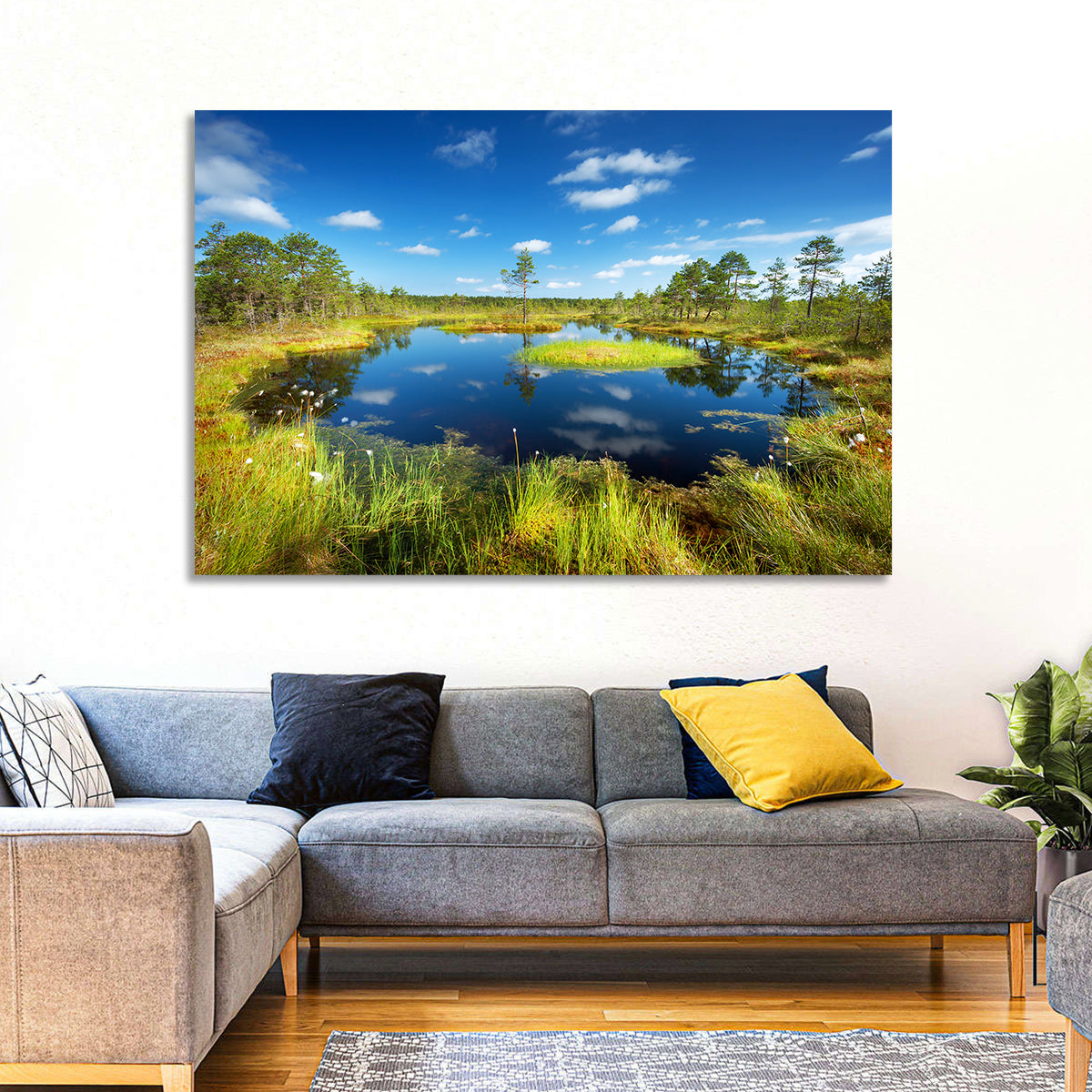 Viru Bogs Reflections Wall Art
